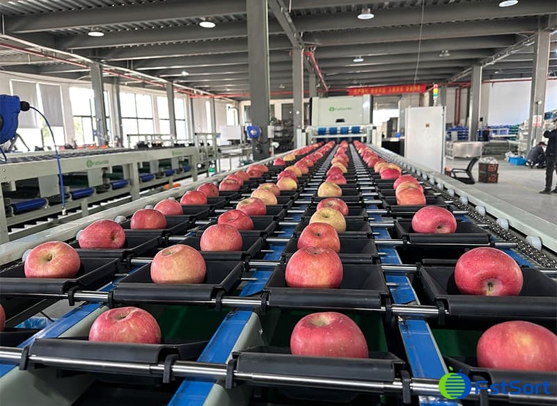 images/1691048450030optical apple sorting machine.jpg